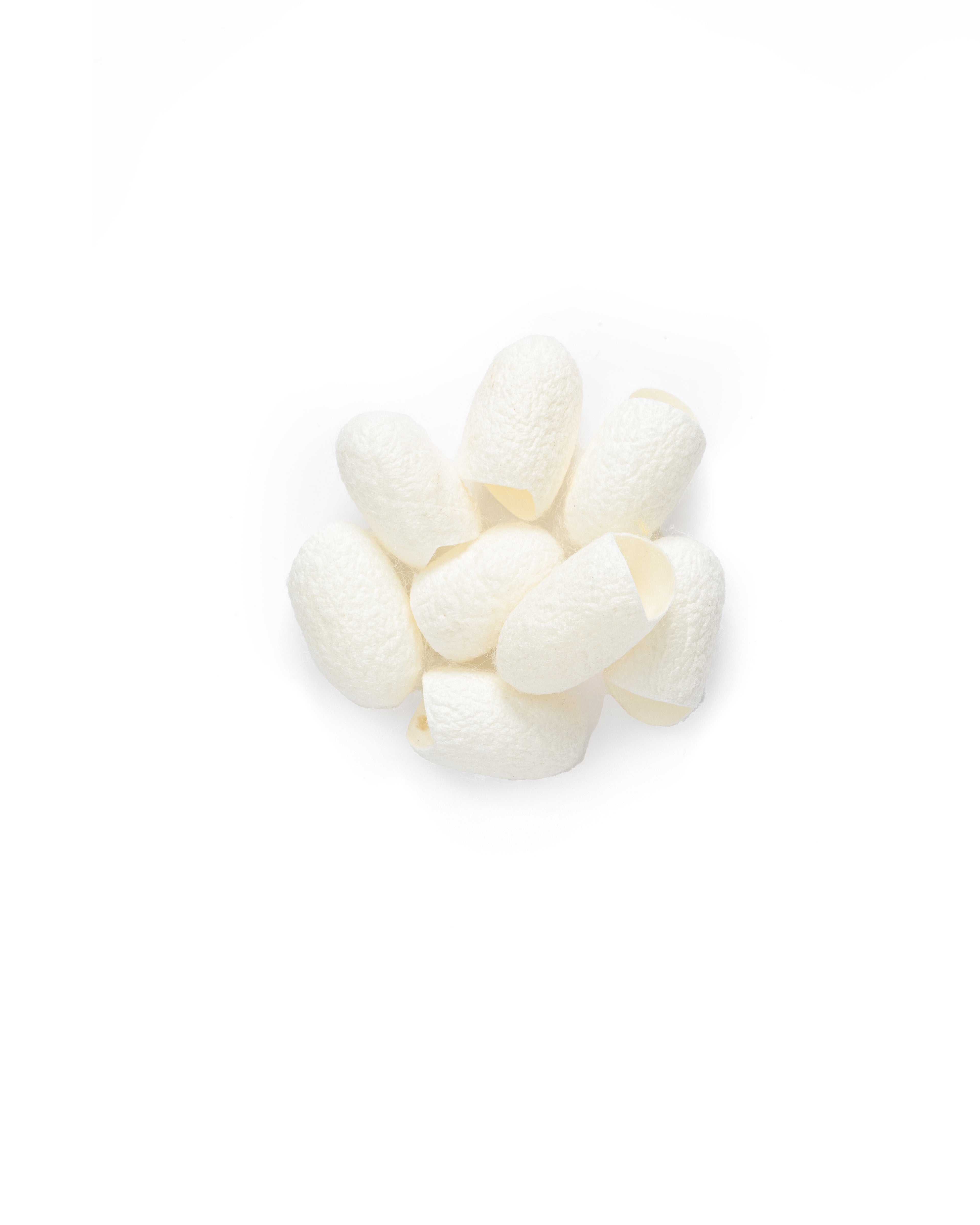 Silk Cleansing Cocoon | Gentle Facial Exfoliator